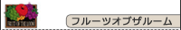 �t���[�c�I�u�U���[��