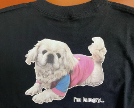 対応可能な加工方法 転写シートのイメージ